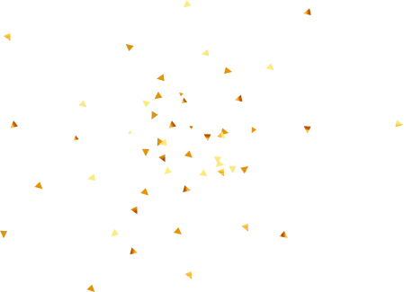 Confetti Top